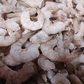 Camar&atilde;o limpo com cauda